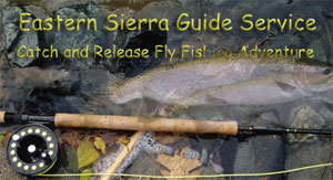 Eastern Sierra Guide Service