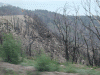 Burned-out_small